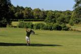 aproach del hoyo 5 (par 4) dog leg
